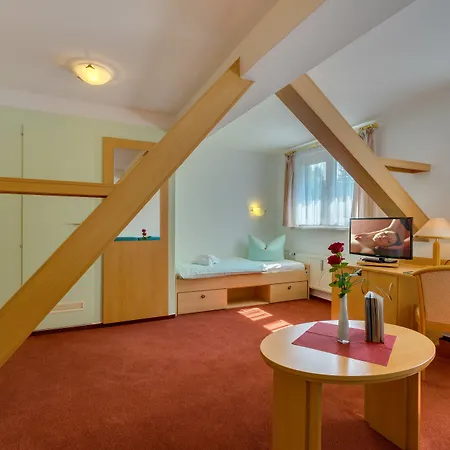 Kurhotel Bad Schlema 3*