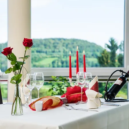 Kurhotel Bad Schlema 3*