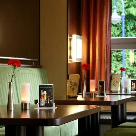 Kurhotel Bad Schlema 호텔 3*