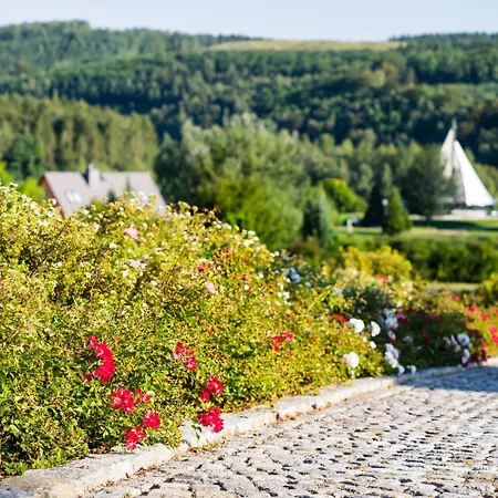 Kurhotel Bad Schlema Hotel 3*