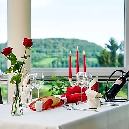 Kurhotel Bad Schlema 3*