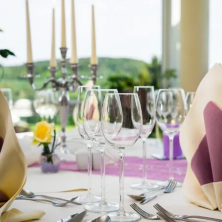 Kurhotel Bad Schlema Hotel 3*